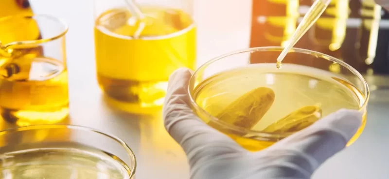 Aceites sintéticos y su proceso de hidrogenación en aceite vegetal.