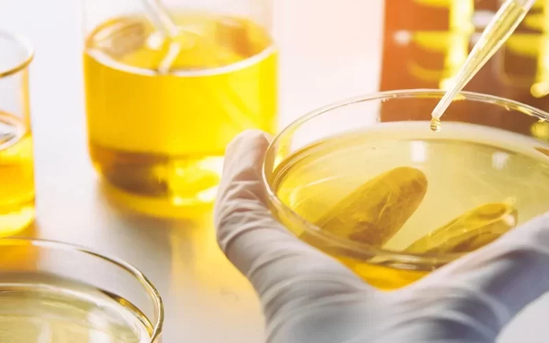 Aceites sintéticos y su proceso de hidrogenación en aceite vegetal.