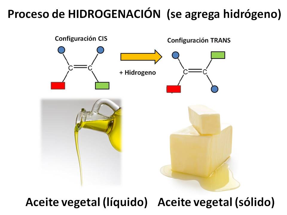El cambio en la estructura en los aceites vegetales en proceso de hidrogenación.