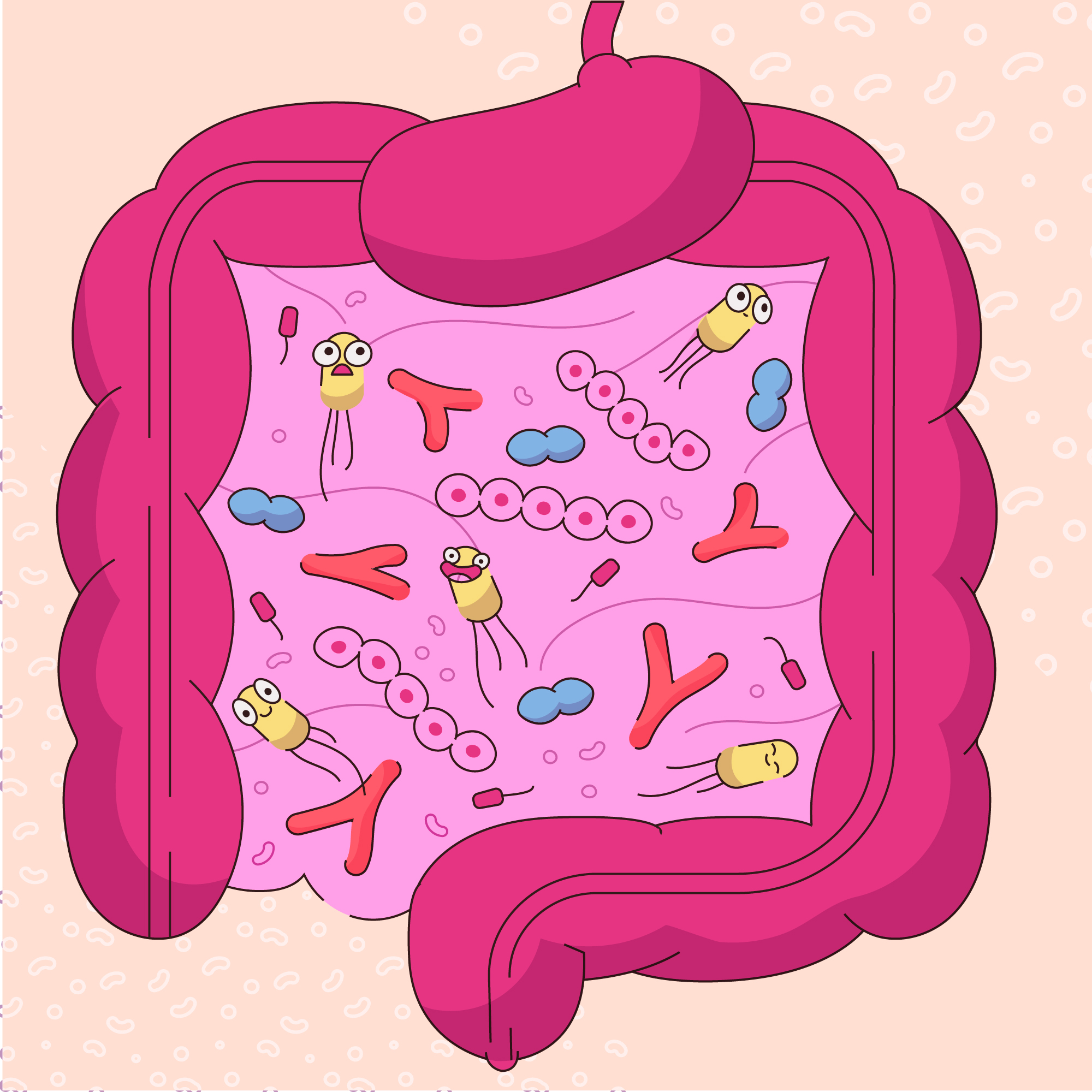 La importancia del cuidado de tu intestino y tu inmunidad.