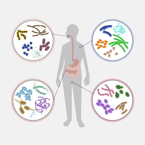 mejorar tu microbioma