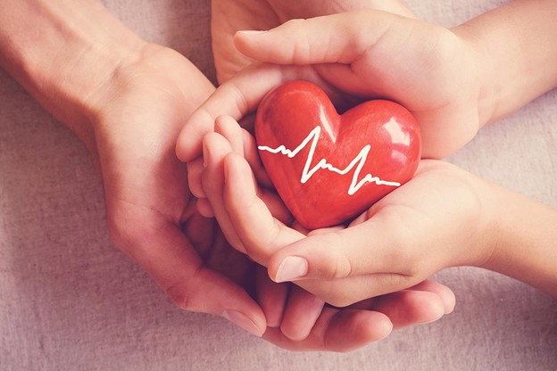 Corazón y la inmunidad